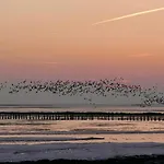 Nordseegrill * Боркум