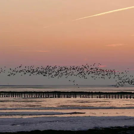 Nordseegrill * Borkum