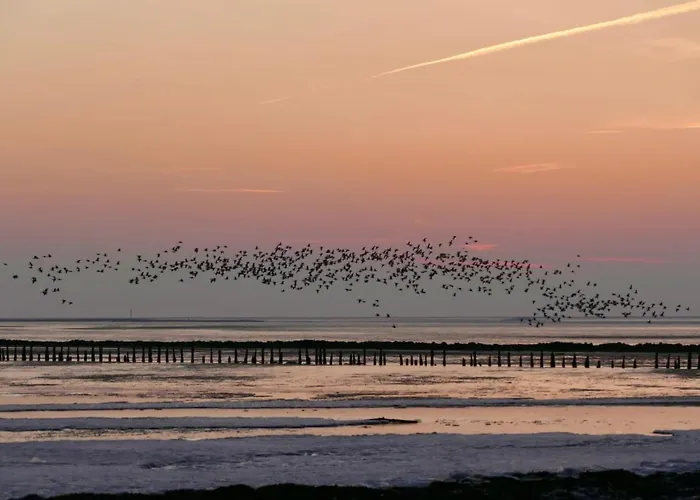 Nordseegrill * Borkum